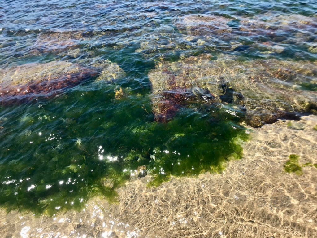 高嶋海水浴場&オートキャンプ場