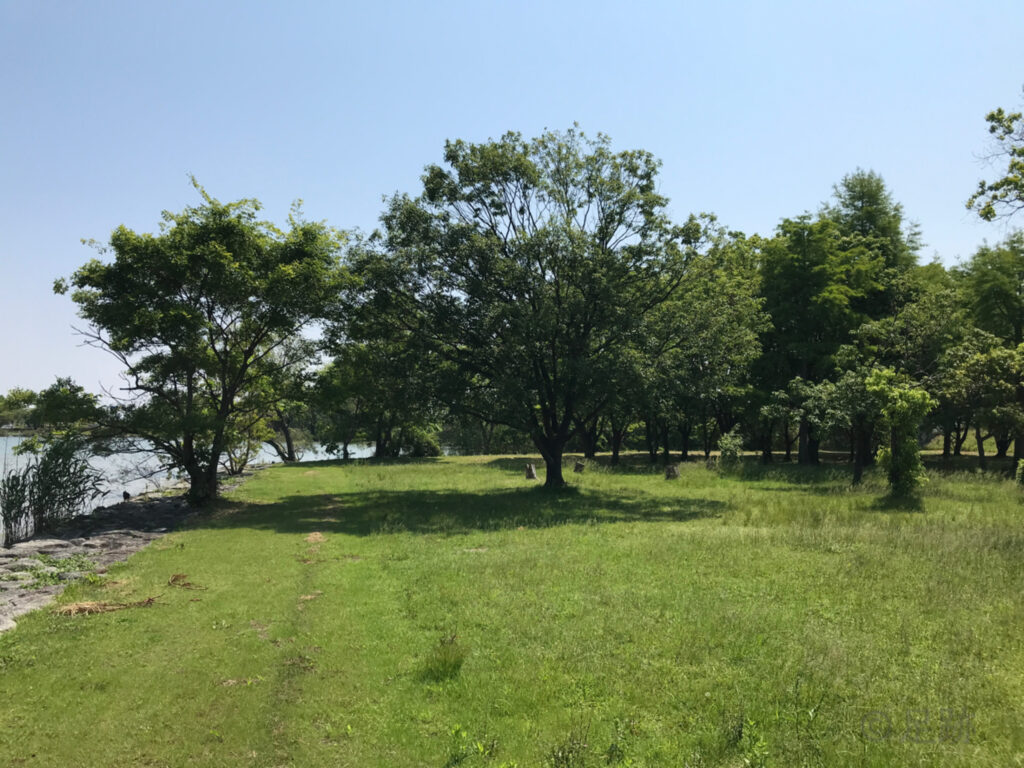 湖岸緑地 志那2キャンプ場