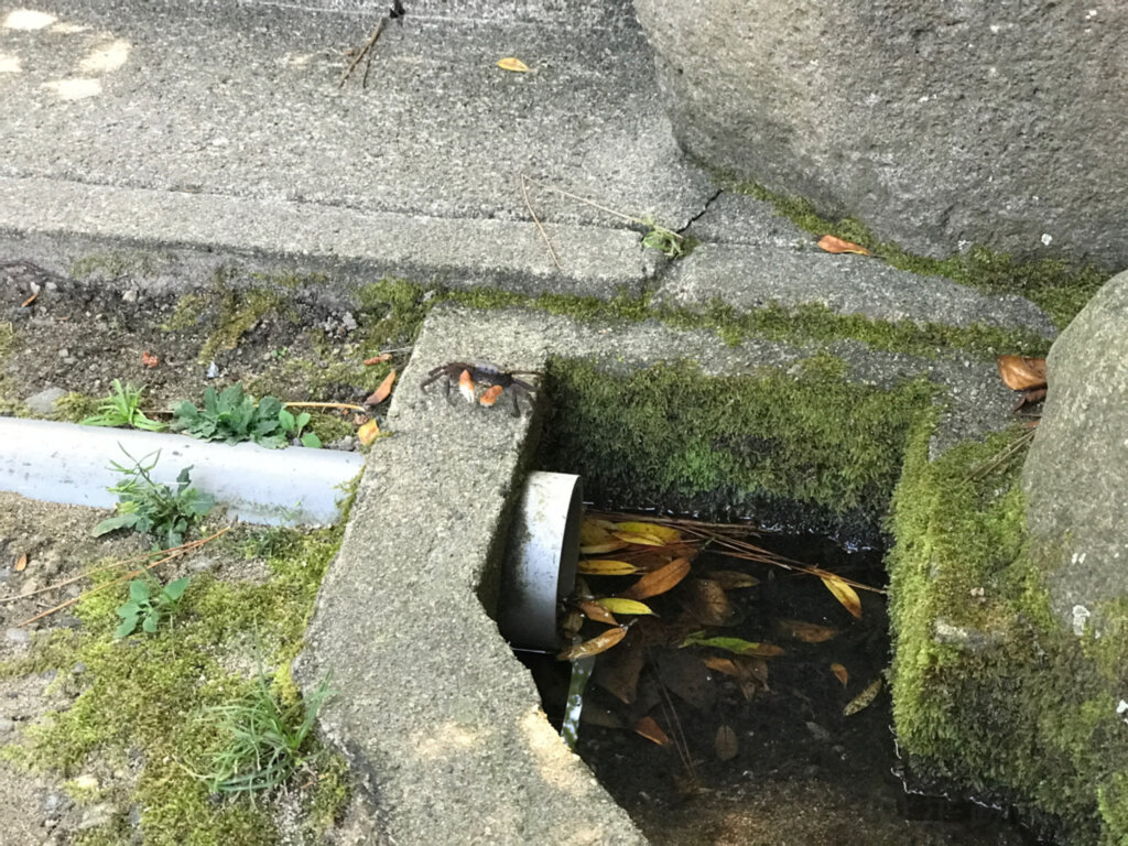 日和山海岸